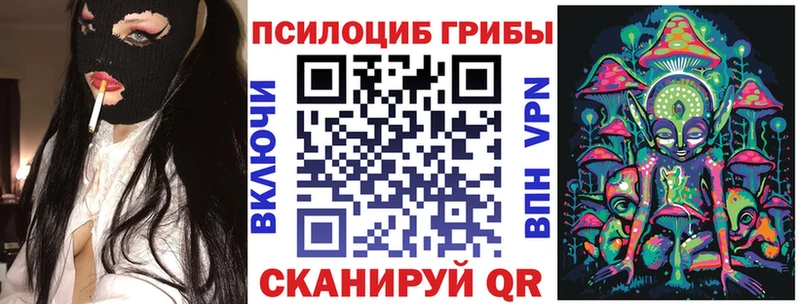 Купить закладки Старица Галлюциногенные грибы MAGIC MUSHROOMS
